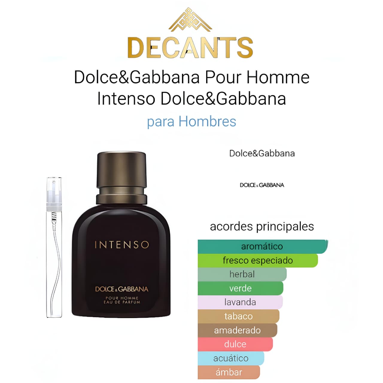 INTENSO POUR HOMME DOLCE Y GABANNA
